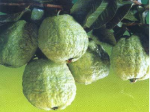 汕头湿疹都有哪些症状?